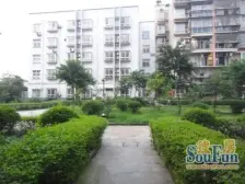 协兴村 2室2厅 南 北