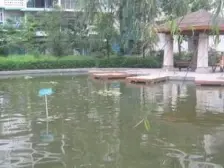 双福片区 城建校家属院四房36万