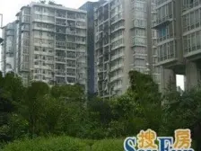 石桥铺 渝高B座二房81万