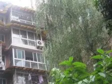 渝成街 3室1厅 东北