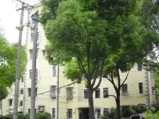 近地铁 刚需上车 无抵押 现场实勘 必看好房