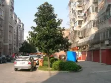 三付 田家炳 楼中楼 使用约200平 有朝南车库18平