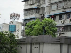 锦江文华3室2厅南