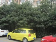 徐家汇·虹桥丽园·1室·2厅