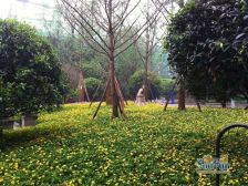 璧山高新区 鸥鹏璧兰河1号三房59.8万