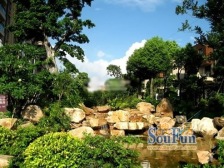 清华居333平联排别墅 带花园地下室 诚意售南北对流