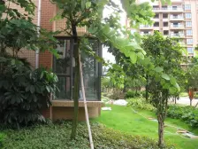 清华居联排别墅 环境舒适安静 户型方正