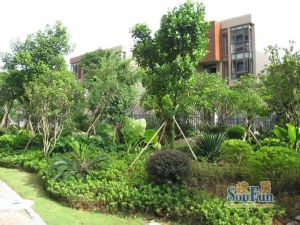 清华居 4房 业主诚意出售 价格 可谈 拎包入住