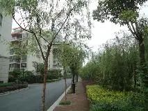 凤凰名都全新毛坯房有车位看房方便