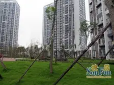 精装修一室一厅,采光好,中间楼层,视野好