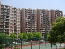 金汇·金汇华光城·3室·2厅