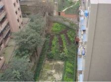 涪陵 黎明路75小区 3室2厅(涪陵监狱职工集资房)