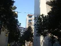 龙珠花园西区,屋顶花园带大露台,带大车库