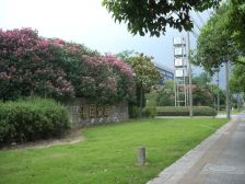 叠加别墅,主卧朝南,小区景观位置,精装修,诚意出售