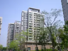 店长推荐 张江汤臣豪园二期 楼层和位置很好 急售张集