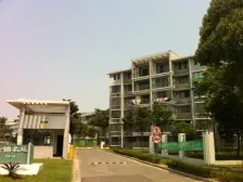 临港新片区 楼梯中间楼层 精装修大三房 诚意出售