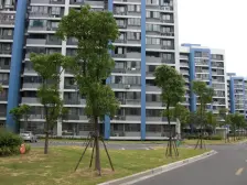 环境舒适适宜居住,三口之家或者两口之家温馨也幸福