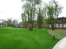 龙头寺 金科公园王府一房70万