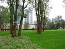 龙头寺 金科公园王府四房346万