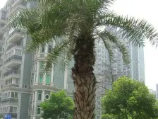 电梯房,大开间,品质小区,精装修,诚意出售