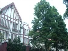 甜爱别墅(别墅) 4室3厅 南