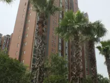 张江御桥!万科品质三房 近地铁