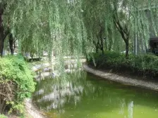 新上5字头2房,漕河泾3km刚需必选+1.5km中庚+50m地铁