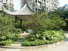 南国雅苑 简装两房 户型方正 朝南 采光充分