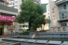 中天南国雅苑 2室1厅 南 北