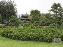 温馨舒服,舒适大房,交通方便,生活配套成熟