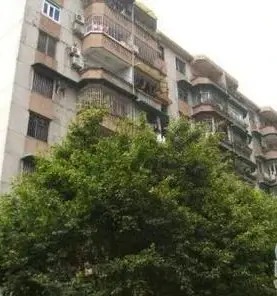 龟岗二马路大院