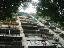 和平公寓3室通透南北朝向800.00万元/套出售