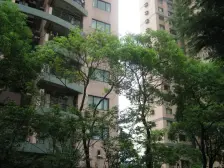 内环地铁公园旁,高品质外销房!