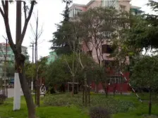 新出板式大两房两厅两卫,近12号线虹漕路,视野好,近樱花大道