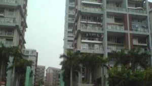 花半里3室1厅东西