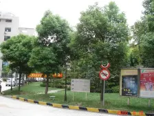 徐家汇03年小区+稀售三开间朝南大两居+中高区+满五