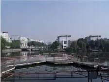城区联排+边套带大花园+近地铁+有车库