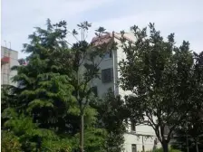 精装修,户型得房率高。楼间距大采光充足