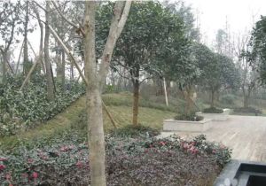 嘉美地2室1厅南