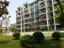 ?临港112㎡稀世王座 4米挑空!丨穹顶之上 破除限界?