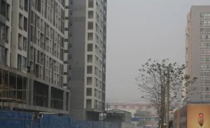 维港3室2厅东南