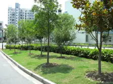 大三房,采光好,单价低,南北通透,居住适宜