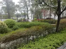 时代晶科名苑 3室1厅 北 东北