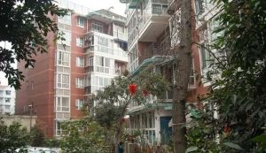 紫金花园 3室1厅 南