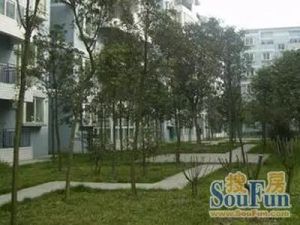 南港都市二期 4室2厅 东南