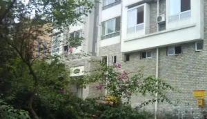 和平路43号 2室2厅 西南