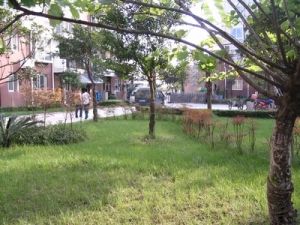 金泉丽都 3室2厅 南