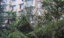 和朝新居1室0厅西南