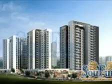 和平山 2室1厅 南