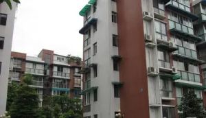 金洲半岛 3室2厅 南